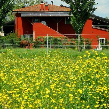 Agriturismo Adriano Pedretti Badia Polesine Exterior photo