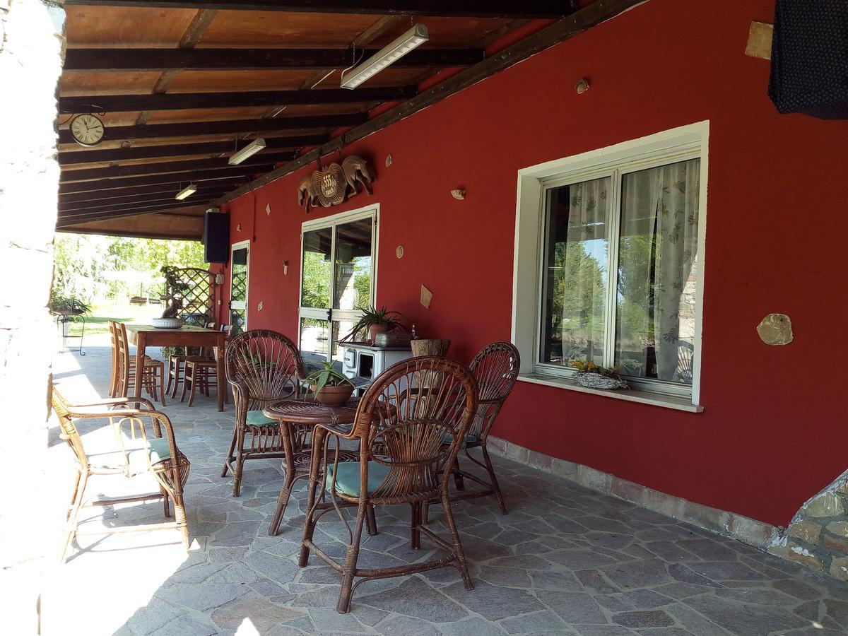 Agriturismo Adriano Pedretti Badia Polesine Exterior photo