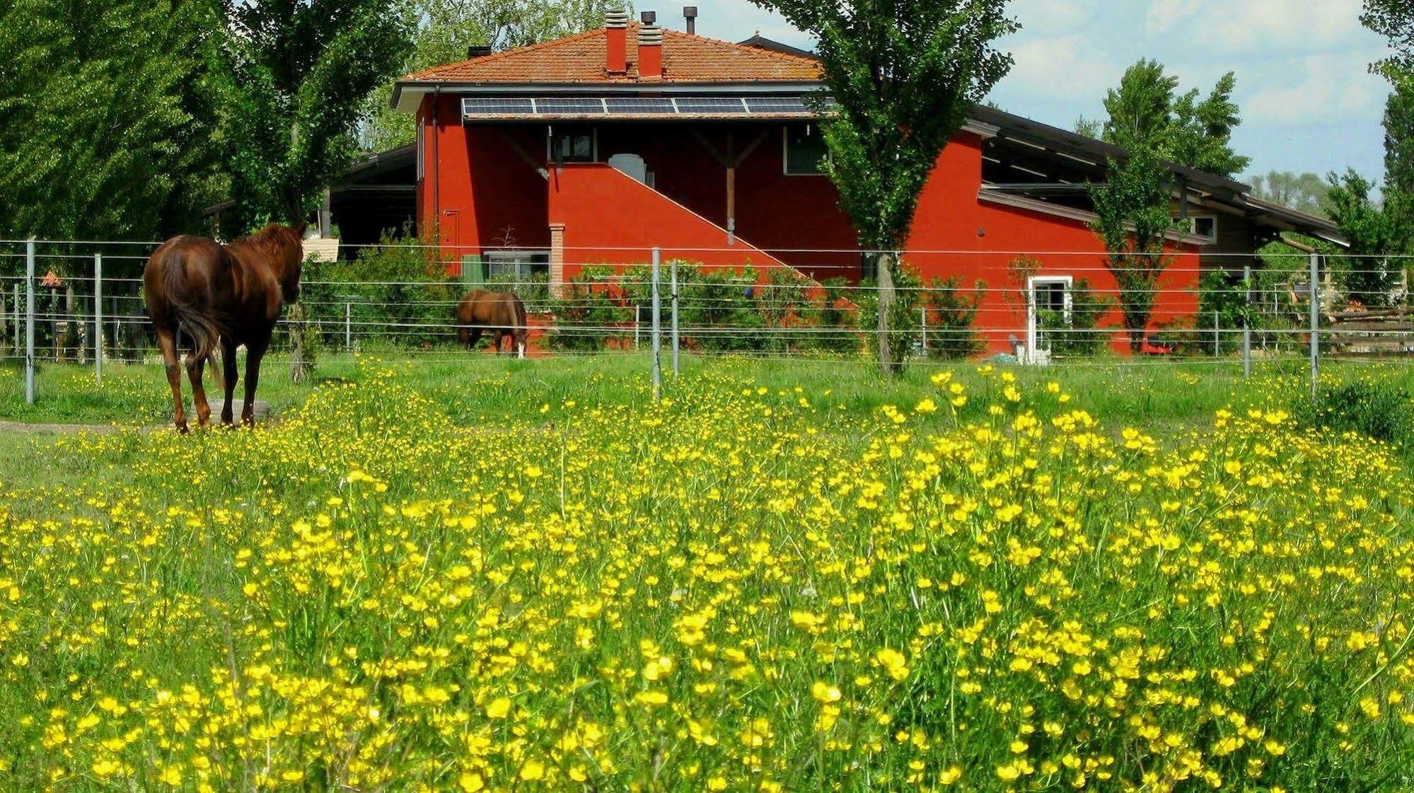 Agriturismo Adriano Pedretti Badia Polesine Exterior photo